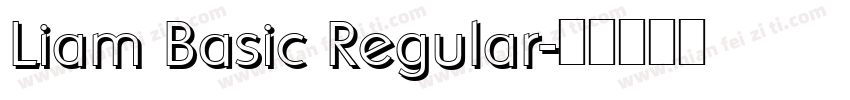 Liam Basic Regular字体转换